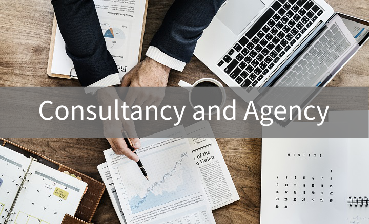 Consultancy and Agency